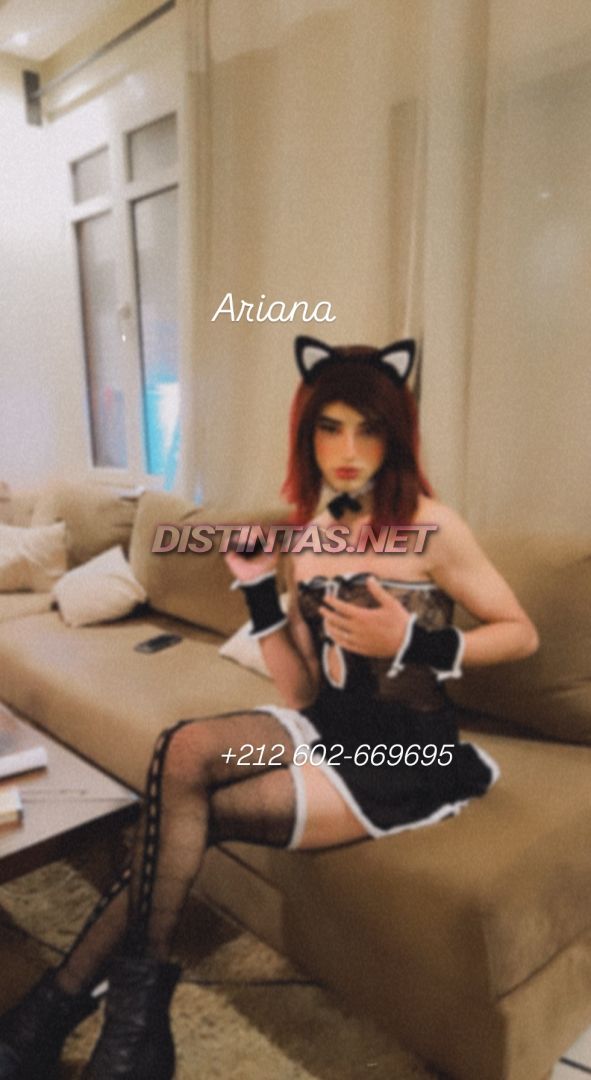 Ariana Moroccan 
