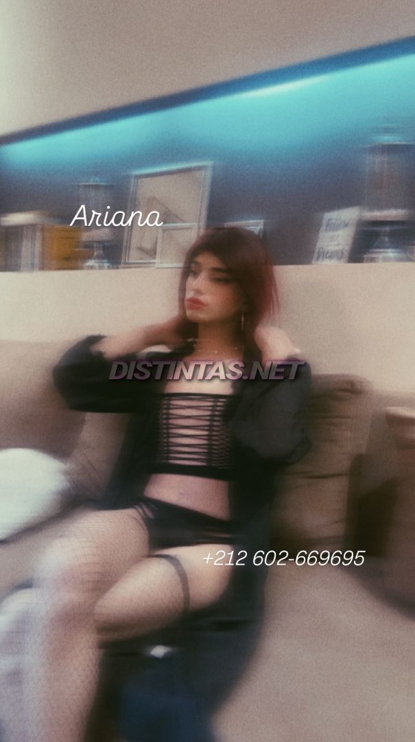 Ariana Moroccan 