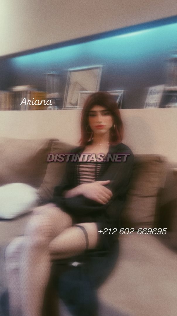 Ariana Moroccan 