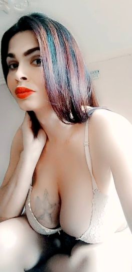 Pricila real