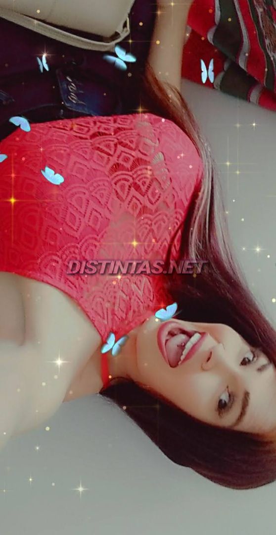 Pricila real