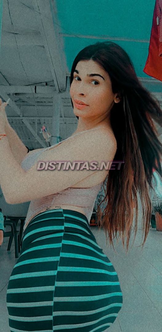 Pricila real