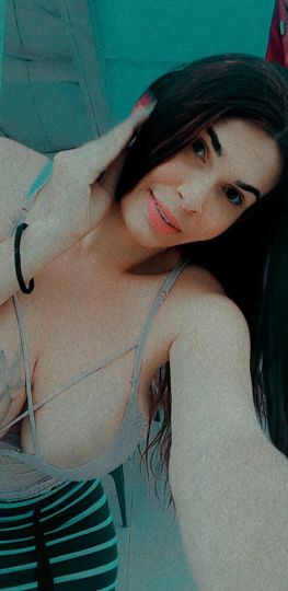 Pricila real
