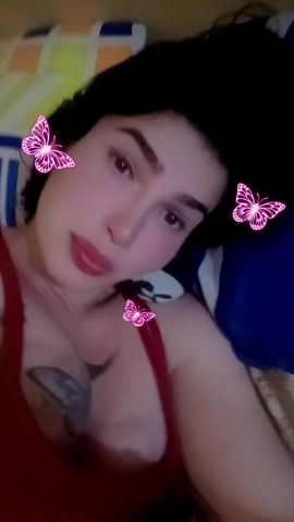 Pricila real