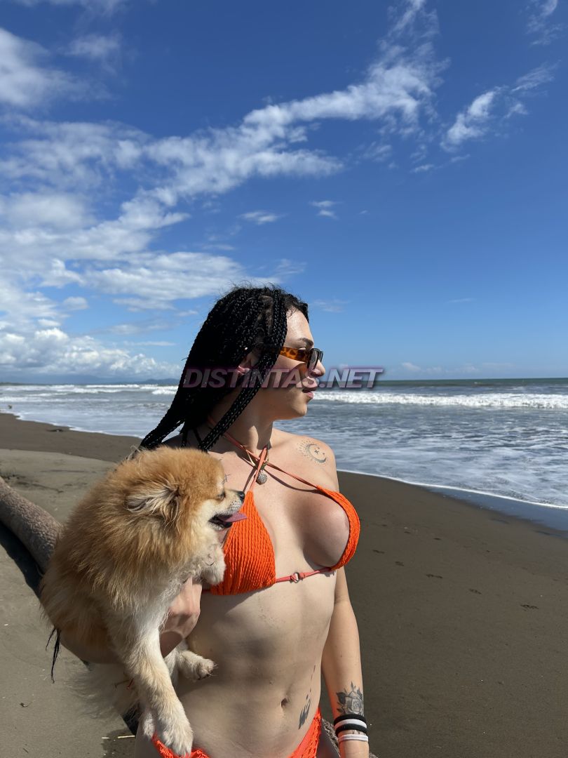 Amanditacr