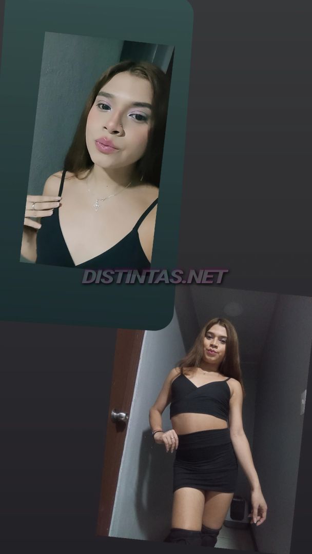 Alexa bb