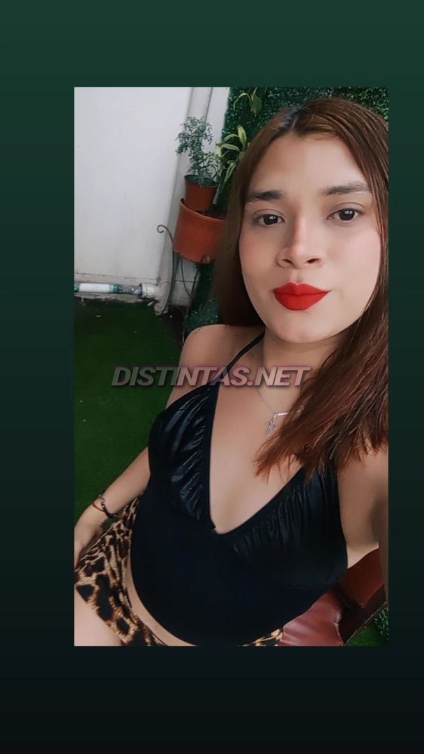 Alexa bb
