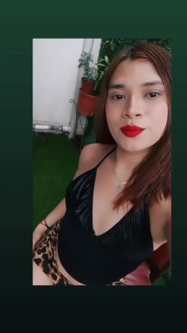 Alexa bb
