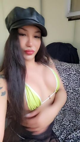 Jolie fox