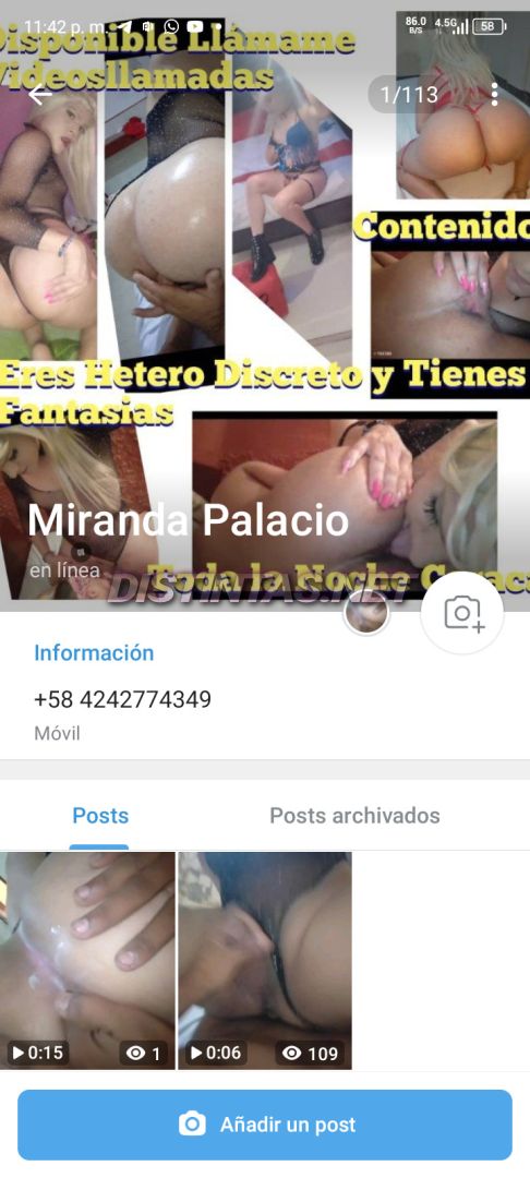 Miranda Palacio