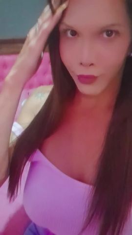 Shofy 