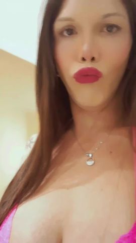 Shofy 