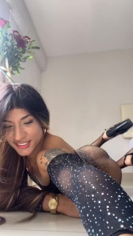 Dua Mejia 