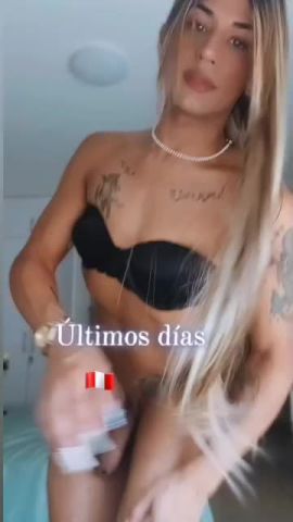 Dua Mejia 