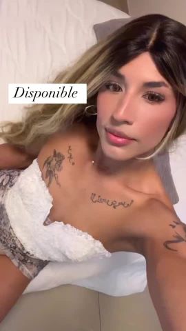 Dua Mejia 