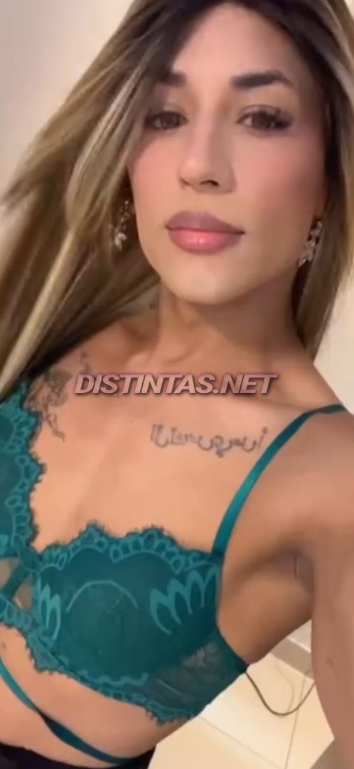Dua Mejia 