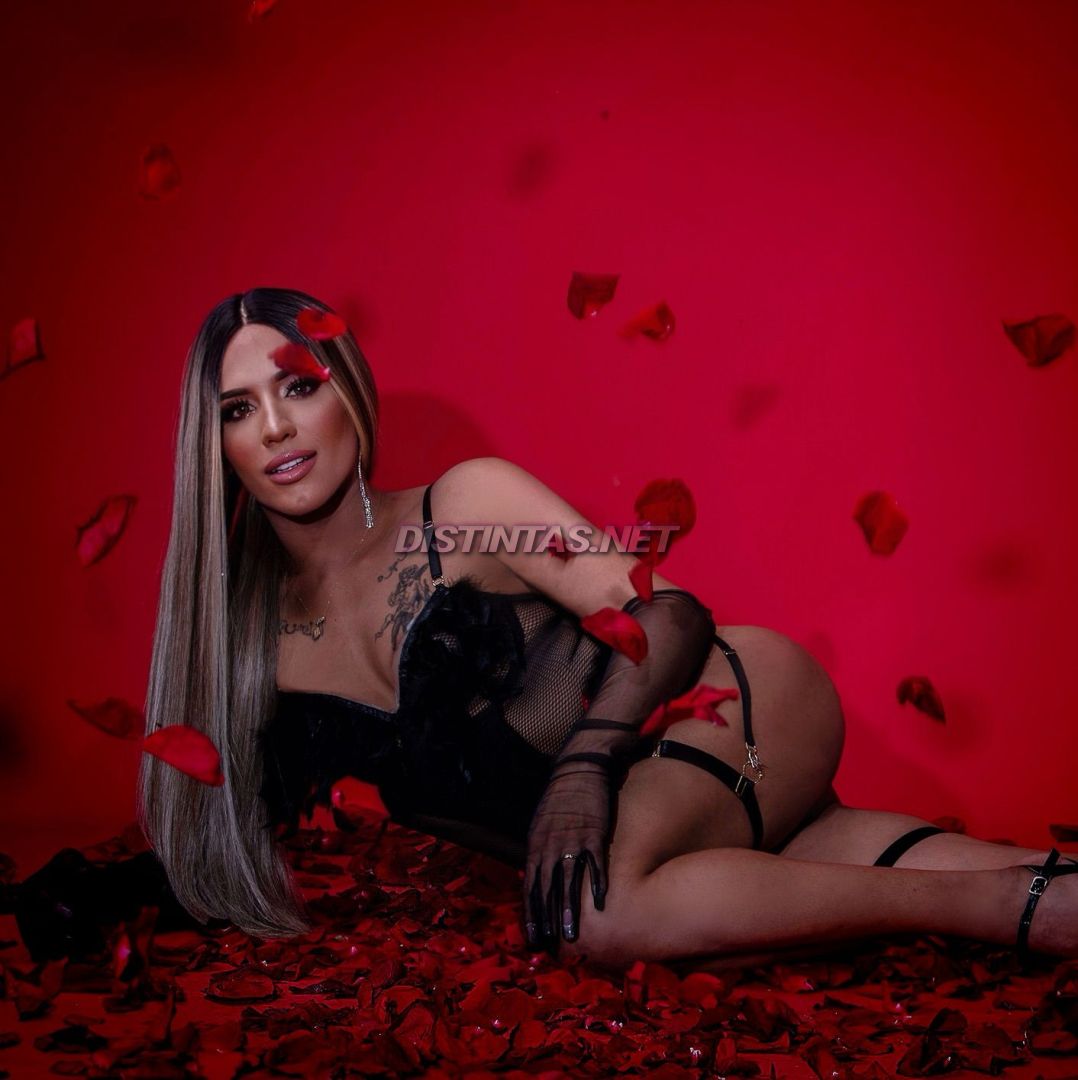 Dua Mejia 