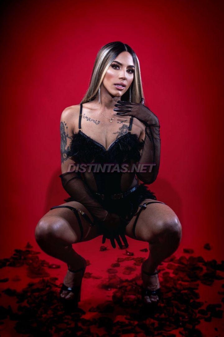 Dua Mejia 