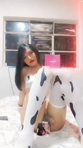 Suheyli