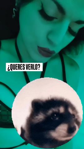 Luli CP