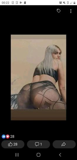 Aylen mojon 4