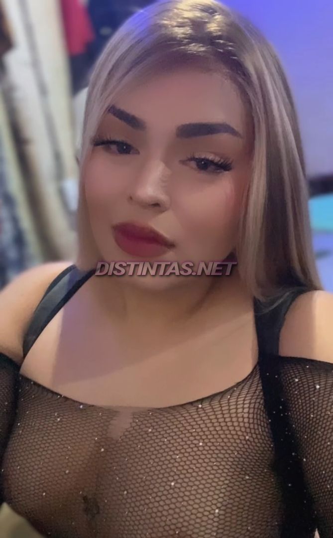 Bigsabrosa