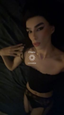 Emilia star