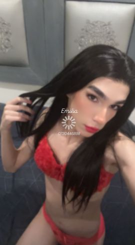 Emilia star