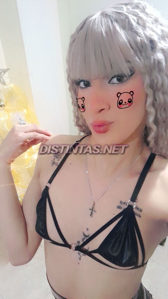 Vanessa 