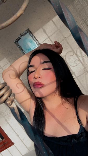 Hola bebes , mi nombre es Michelle flores, estoy por acá ofreciendote mis servicios sexuales eróticos a chicos solventes que deseen tener un buen y rico encuentro con una de las chicas trans más rica de Managua , disponible 24 /7  , contactame! 