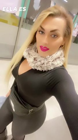Anaconda Trans