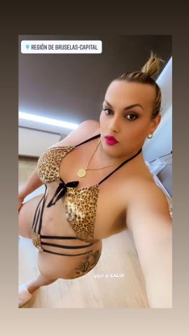 Anaconda Trans