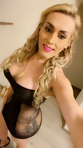 Anaconda Trans
