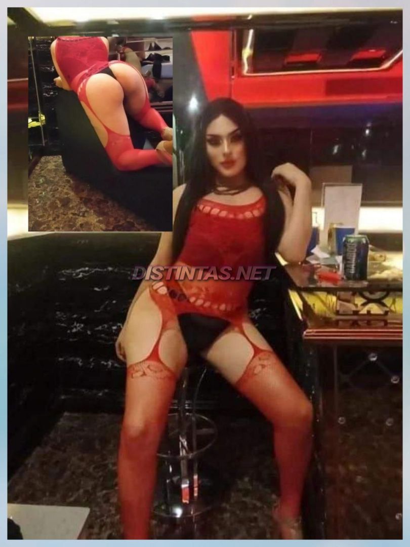 PIA TRANNY