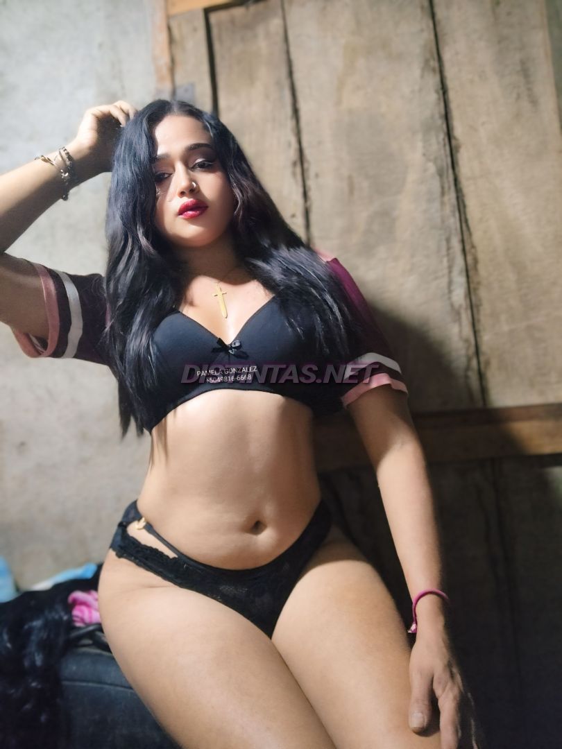 pamela Contenido 