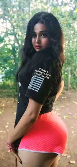 pamela Contenido 