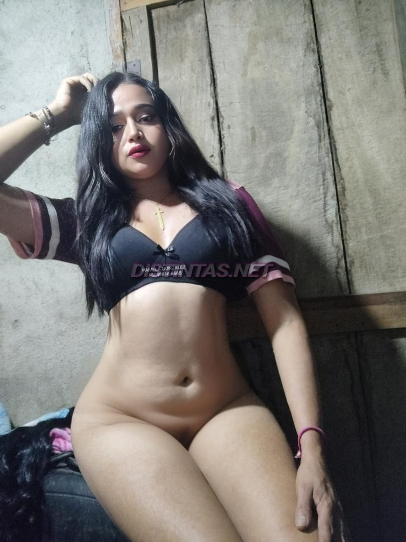 pamela Contenido 