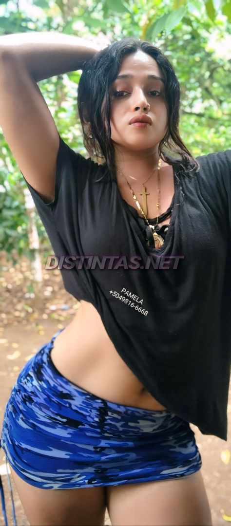 pamela Contenido 