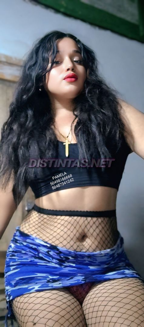 pamela Contenido 