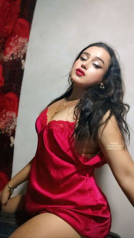 pamela Contenido 