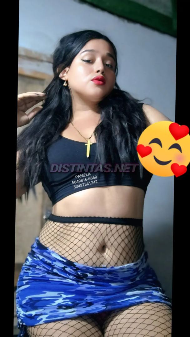 pamela Contenido 