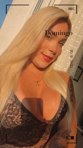 Belle Trans 