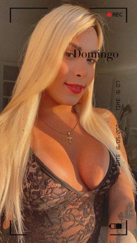 Belle Trans 