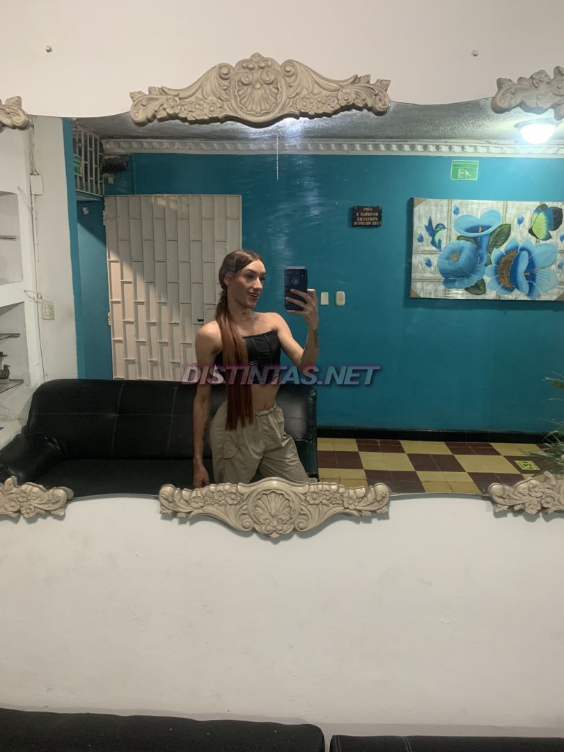 Korney queen