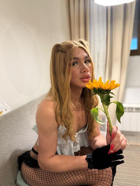 Hola amor 🥰

¿Cómo estás? 

Mi nombre es Hema, baby colombiana🇨🇴, soy una chica juguetona, dulce, extrovertida, cariñosa y sobre todo muy discreta 🥵 😈. 

Anímate a salir de tu rutina conmigo, y no te pierdas la mejor noche de tu vida,😍.