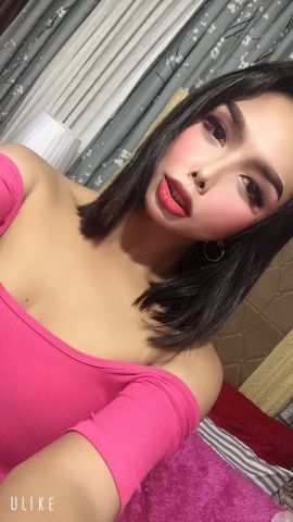 Bella Fox 