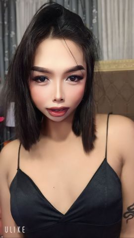 Bella Fox 