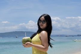 MustTry Roxanne