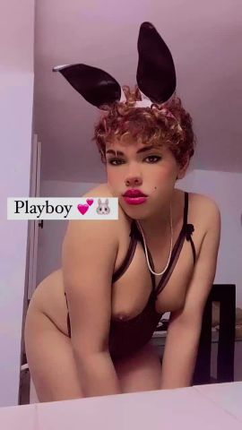 LOLLA BUNNY