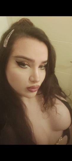 Trans Arabe Libanaise